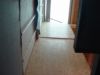 dsc00896.jpg
