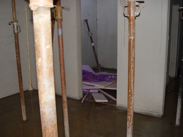 dsc00700.jpg